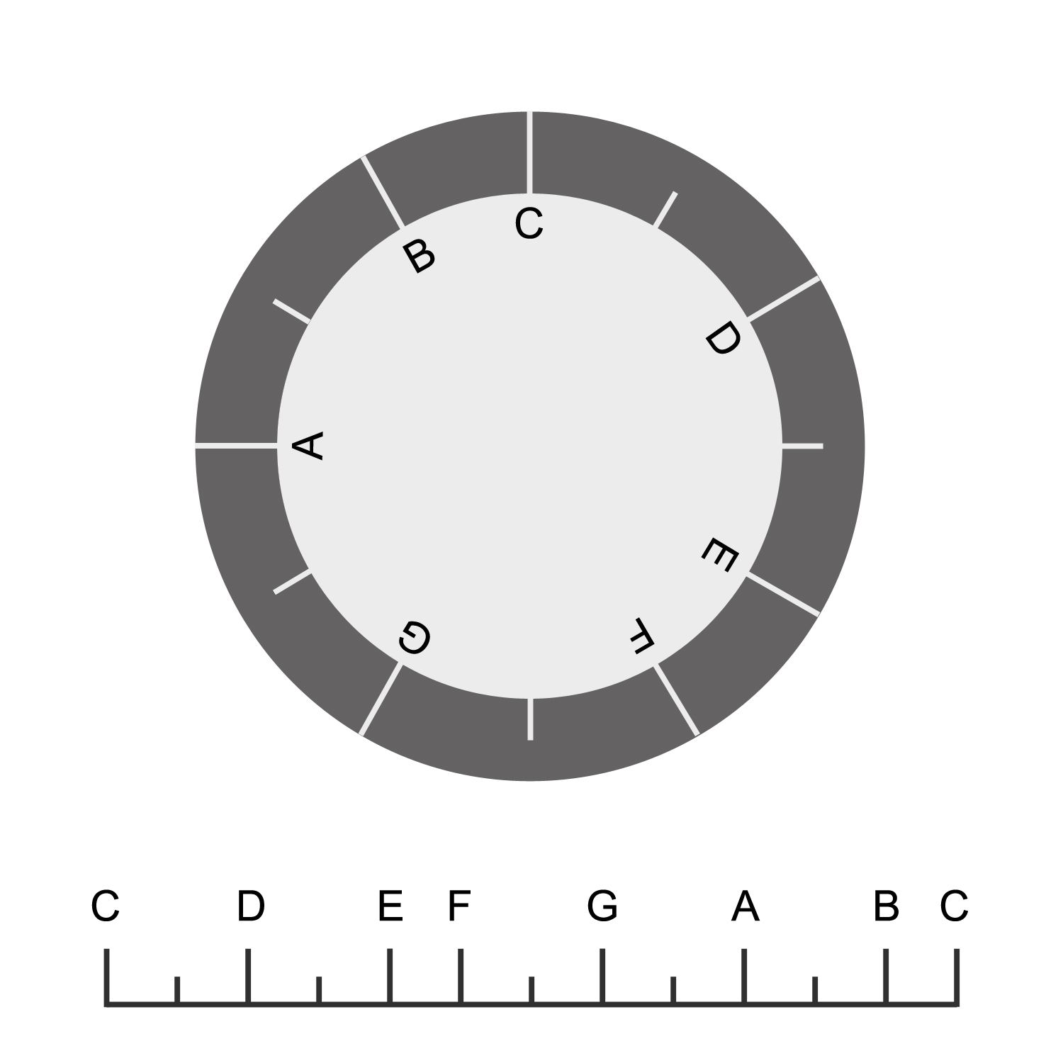 Circular and linear representation of the basic tone scale